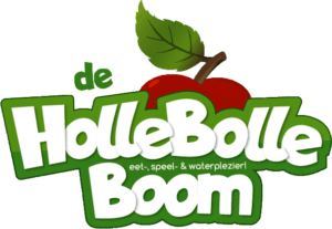 2 tickets voor Spelen in de Holle Bolle Boom!